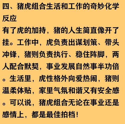 属猪与属兔合作_属猪做生意最佳搭档_属猪的做生意最佳搭档