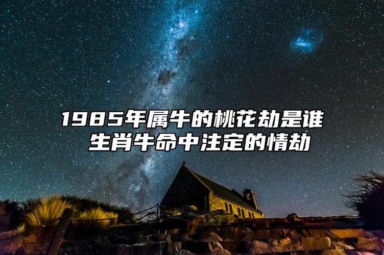 属牛情劫年份_属牛的情劫是哪一年，属牛人遇桃花劫的年份_属牛桃花劫年份