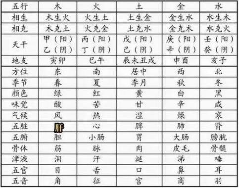 卯木五行属性_十二地支卯木详解_卯木对应事物