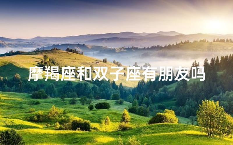 摩羯座和双子座配对指数高吗？现实版解析