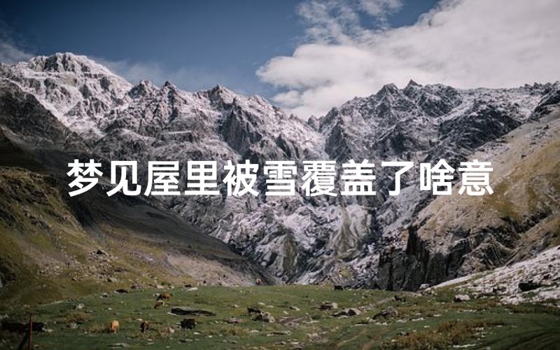 梦见下雪一片白_梦见下雪了地上一片白_梦见雪地洁白象征
