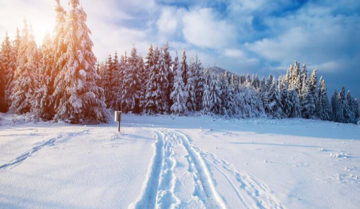 梦见雪地洁白象征_梦见下雪一片白_梦见下雪了地上一片白