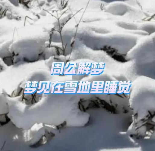 梦见下雪一片白_梦见下雪了地上一片白_梦见雪地洁白象征