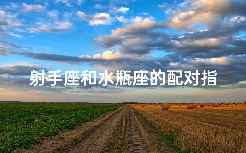 水瓶座男和射手座女的配对指数是多少_水瓶座男生射手女生配对指数_水瓶男射手女性格互补