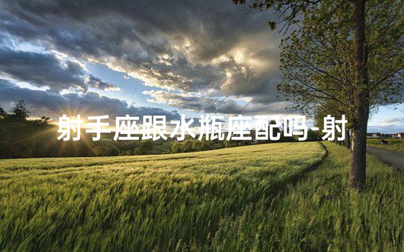 水瓶男射手女性格互补_水瓶座男生射手女生配对指数_水瓶座男和射手座女的配对指数是多少