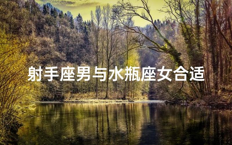 水瓶座男和射手座女的配对指数是多少_水瓶男射手女性格互补_水瓶座男生射手女生配对指数