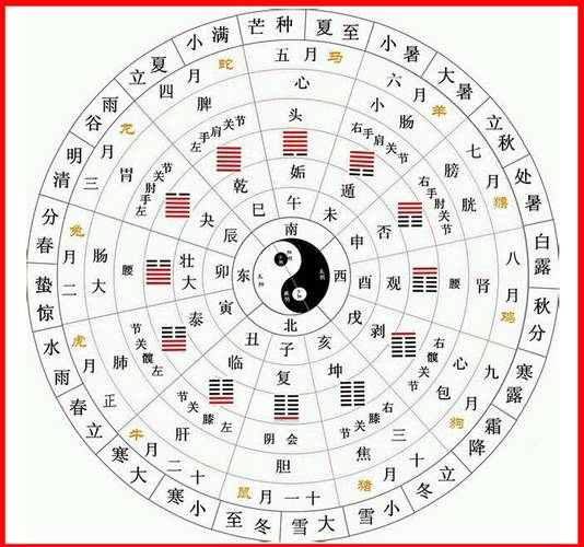 八字地支六合的应用规则_八字地支六合应用规则_地支六合吉凶判断