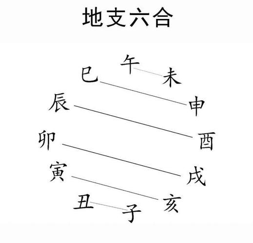 八字地支六合的应用规则_八字地支六合应用规则_地支六合吉凶判断