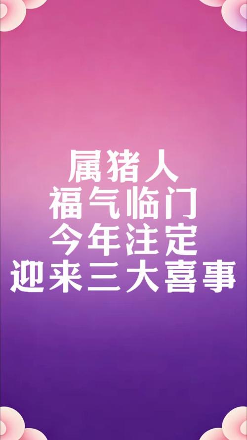 事业财运家庭预测_2026年属猪人运势分析_属猪人2026年有三喜