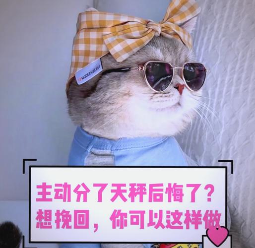 天秤座冷战如何挽回_天秤座不理你的原因_天秤座不理你了怎么办