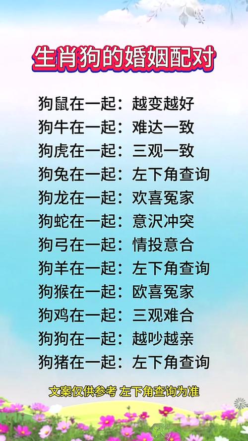 82年狗2026年会离婚吗_1982属狗人2026年婚姻走向_2026属狗人婚姻考验分析