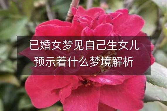 梦见女儿_梦见女儿不同状态代表什么_梦见女儿哭或生病代表什么