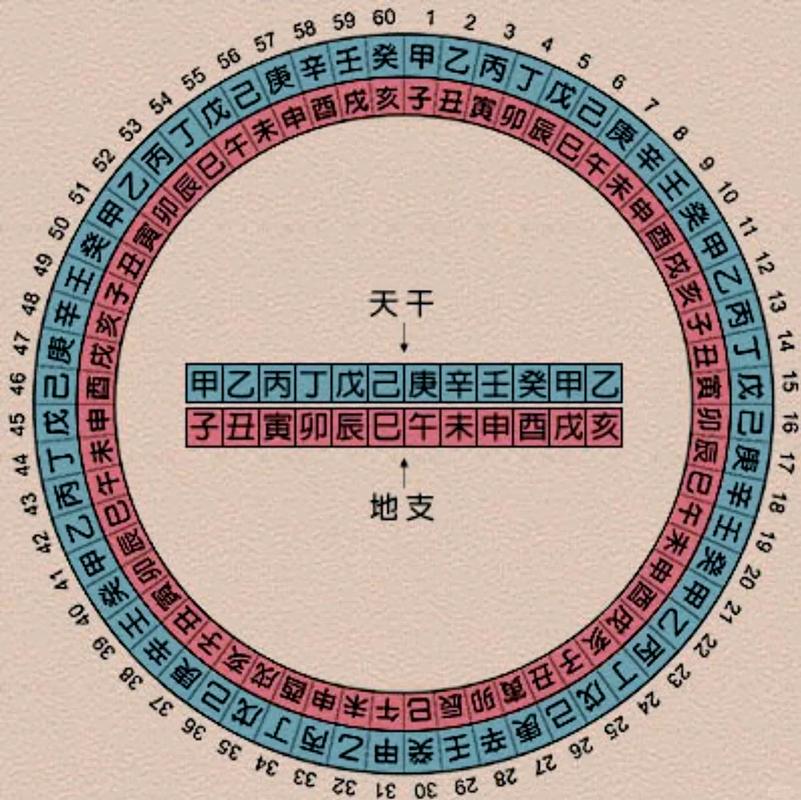 地支在八字命理中的作用_地支含义与五行属性_什么是地支
