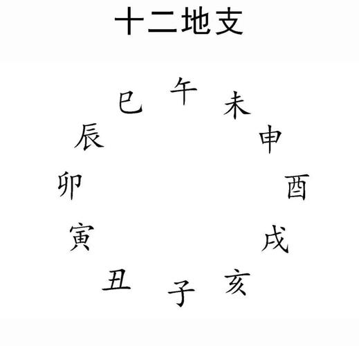 地支在八字命理中的作用_什么是地支_地支含义与五行属性