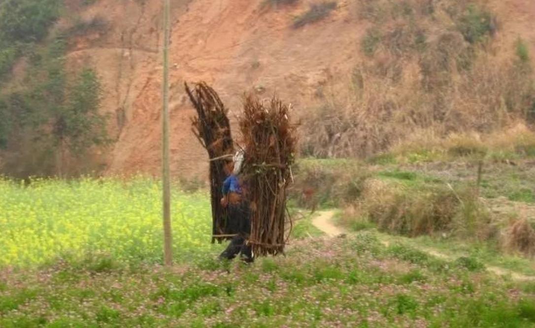 梦见和别人上山砍柴预示什么_梦见跟别人一起上山砍柴的解梦_梦见和别人上山砍柴