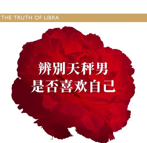 天秤男喜欢一个人的细节_天秤座男性喜欢一个人的表现_天秤座男喜欢一个人的表现准到爆