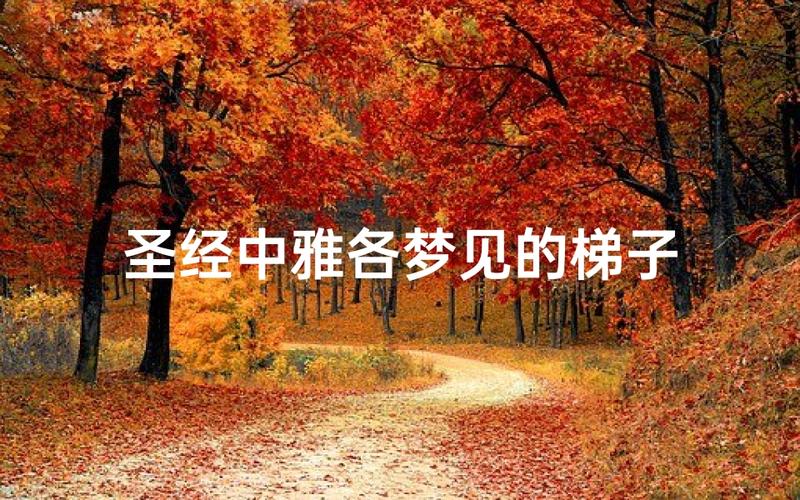 梦见下楼梯什么意思_梦见下楼梯预兆_梦见下楼梯象征意义