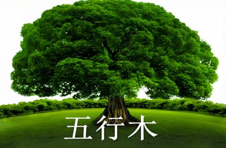 木鼠命五行缺什么_木鼠命五行缺什么_木鼠命五行补火方法