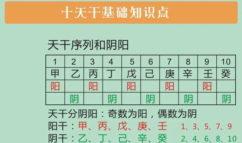 地支五行与八字关系_十二地支五行属性查询_十二地支的五行属性