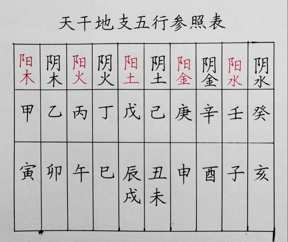 地支五行与八字关系_十二地支的五行属性_十二地支五行属性查询