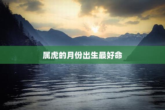 几月虎命最好最苦_属虎人命运趋势_几月虎命最好，几月最苦