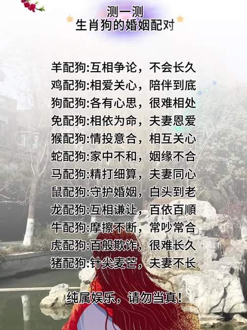 2026年狗女会嫁给谁_属狗女2026年婚运_属狗女最易嫁给哪个生肖男