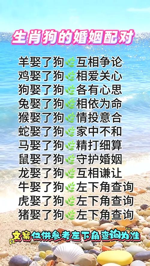2026年狗女会嫁给谁_属狗女最易嫁给哪个生肖男_属狗女2026年婚运