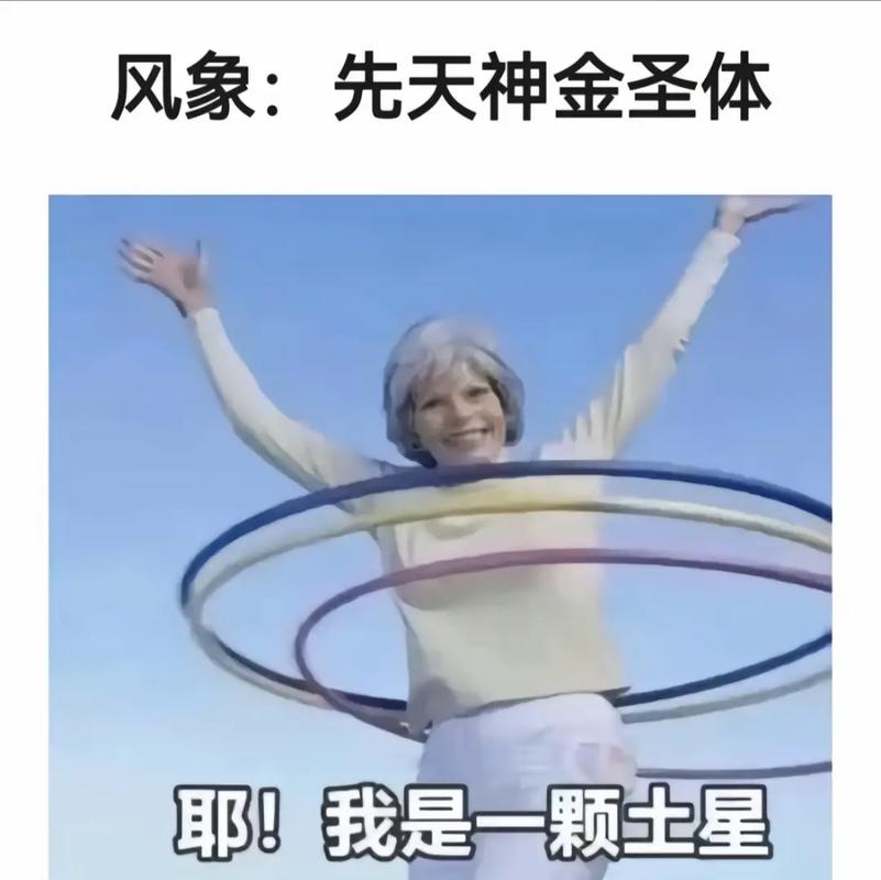 风象星座配对_天秤座与风象星座配对优势_双子座的优雅平衡特点