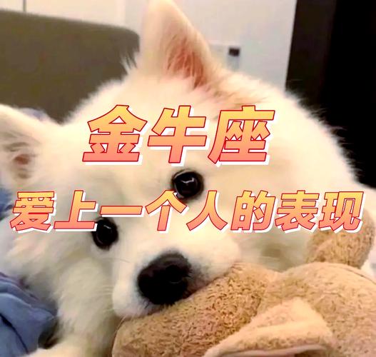 金牛座女生喜欢一个人的表现_金牛座女喜欢一个人的表现_如何判断金牛座女生是否喜欢你