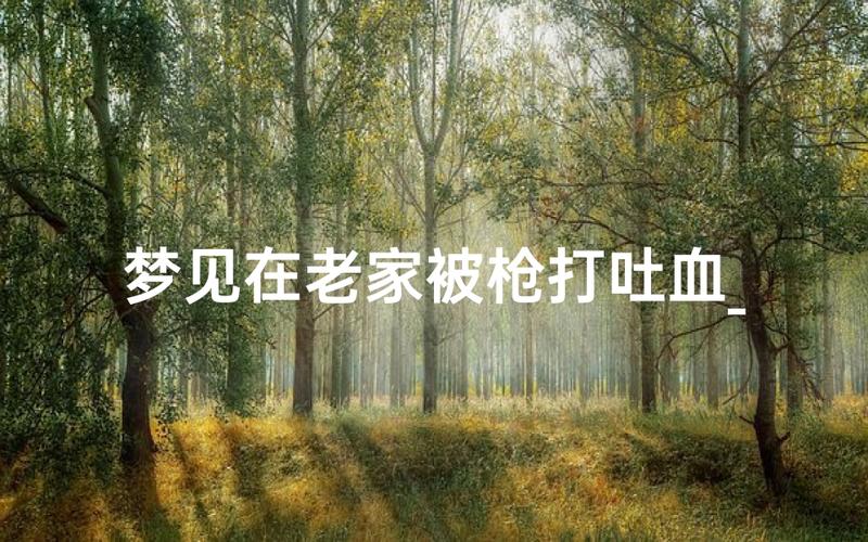 梦见开枪打人没打死是什么意思