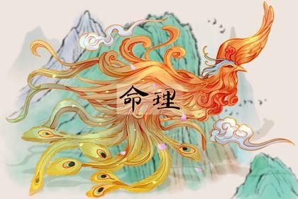 水兔命五行平衡_水兔命缺火土怎么办_水兔命五行缺什么