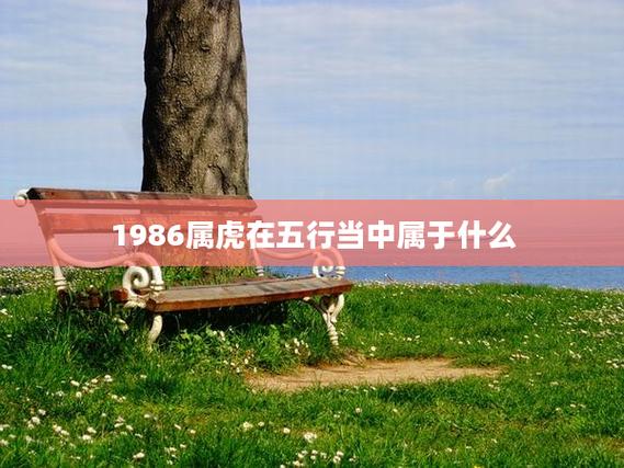 1986年属虎人是什么命 炉中火命性格特点_1986年属虎人是什么命_1986年属虎人命理解析 火虎还是木虎 运势如何