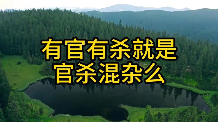 八字官杀混杂怎么办 详解化解方法与影响