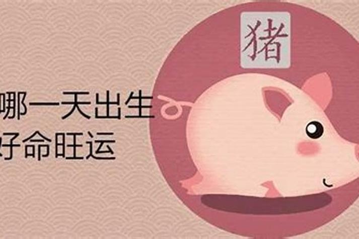 属猪人和属马人合不合？揭秘生肖运势背后的真相