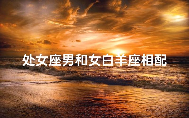 白羊座女和处女座男配对指数是多少_白羊座女和处女座男配对指数_白羊女与处女男性格差异