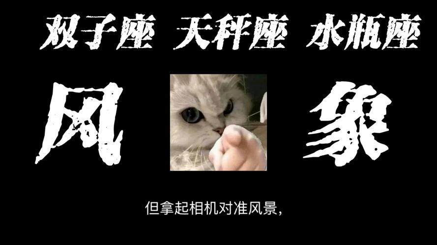 风象星座的美食偏好_双子座饮食选择_风象星座美食偏好