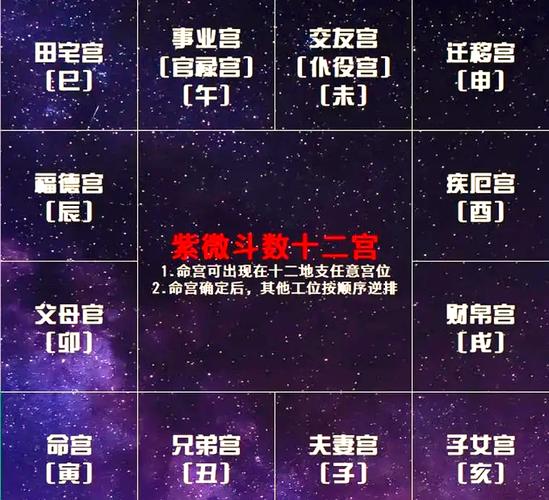 紫微斗数看什么最准_紫微斗数看事业财运最准吗_紫微斗数看婚姻感情准不准