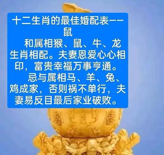 属鼠上上等婚姻配对_属鼠的上上等婚姻是什么生肖_属鼠最佳婚配生肖
