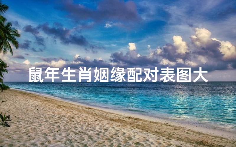 属鼠的上上等婚姻是什么生肖_属鼠上上等婚姻配对_属鼠最佳婚配生肖