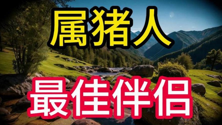 谁最偏爱属猪女？揭秘命中注定的深情伴侣