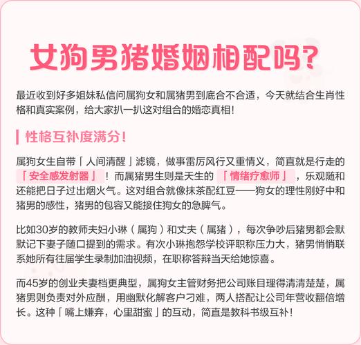 猪和猪相配的优缺点_属猪夫妻婚姻分析_两口子都是属猪好不好，猪和猪相配婚姻会怎么样