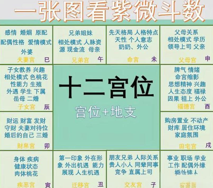 紫微斗数入门指南_紫微斗数全书白话文_紫微斗数全书白话文