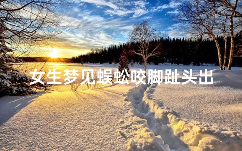 梦见被蜈蚣咬_梦见被蜈蚣咬 解梦 财运人际关系