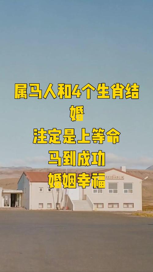 2026年属马女性的婚姻预测与伴侣指南