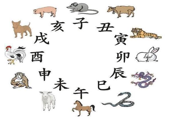 哪些生肖最偏爱属鼠女_谁最偏爱属鼠女_属鼠女性格特点