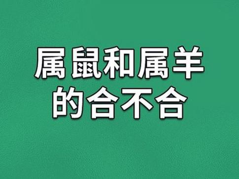 哪些生肖最偏爱属鼠女_属鼠女性格特点_谁最偏爱属鼠女