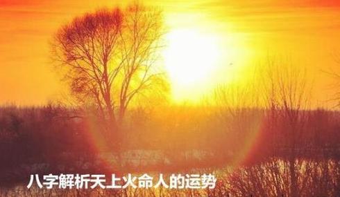 火蛇命和天上火命性格互补性_火蛇命与天上火命相合相冲_火蛇命和天上火命合的来吗
