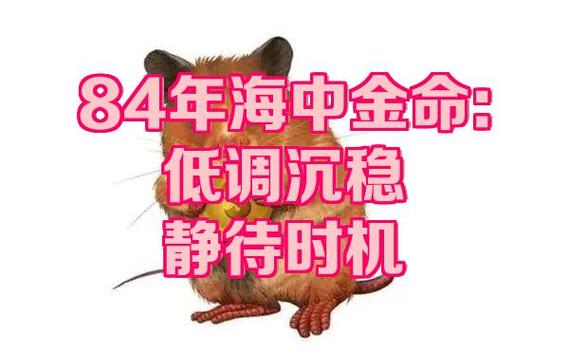 海中金命和什么命相配_和海中金相生的命_海中金命与土命相生关系