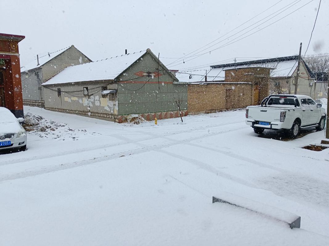 梦见大雪纷飞积雪很厚预示什么