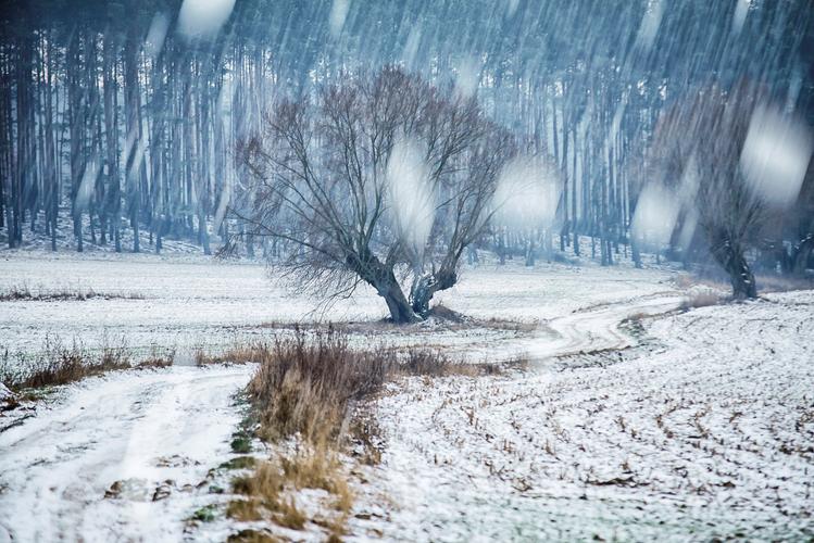 梦见大雪纷飞积雪很厚是吉是凶_梦见大雪纷飞积雪很厚_梦见大雪纷纷扬扬积雪很厚